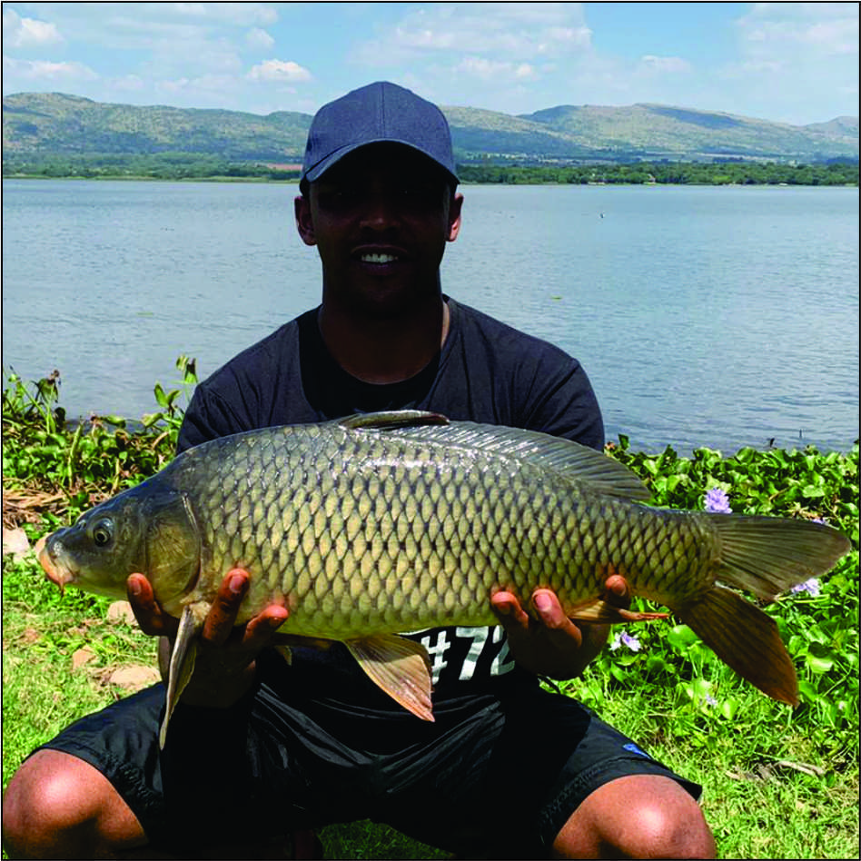 Buy AMANCO Fish Bait Scent Coconut attractant Online at desertcartSouth  Africa